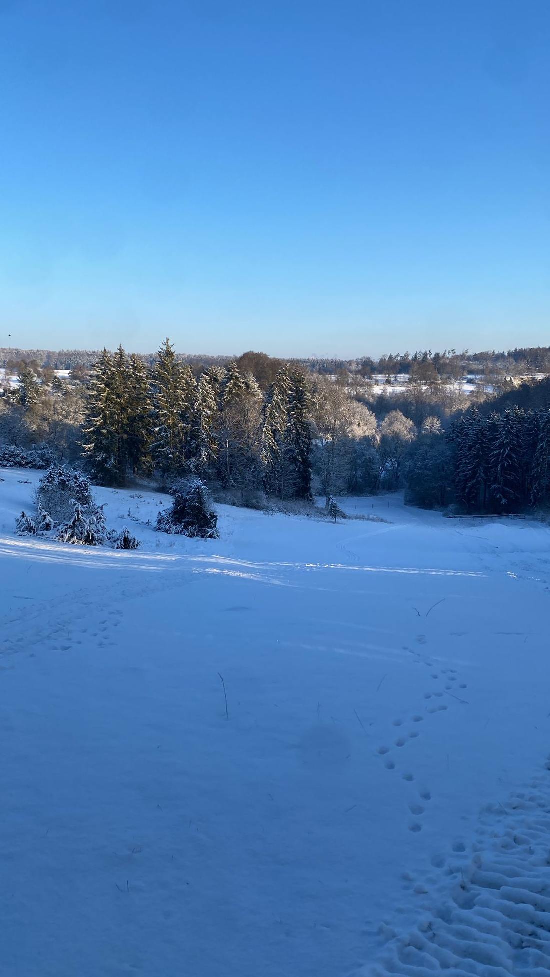 Verschneiter Skihang in Bolheim bei blauem Himmel